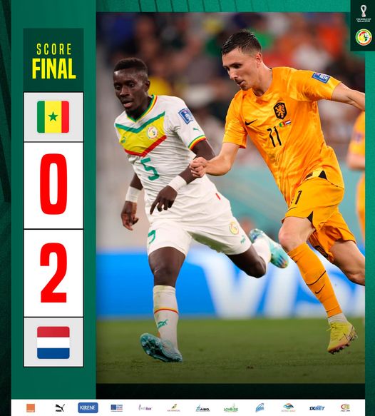 Mondial Qatar- Sénégal vs Pays-Bas : Défaite des Lions de la Teranga
