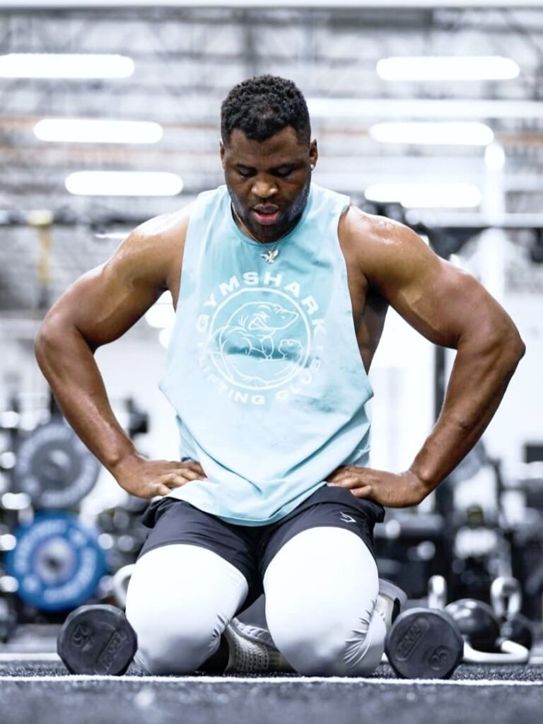 CAN : lion qui se comporte comme chat, Francis Nganou en courroux