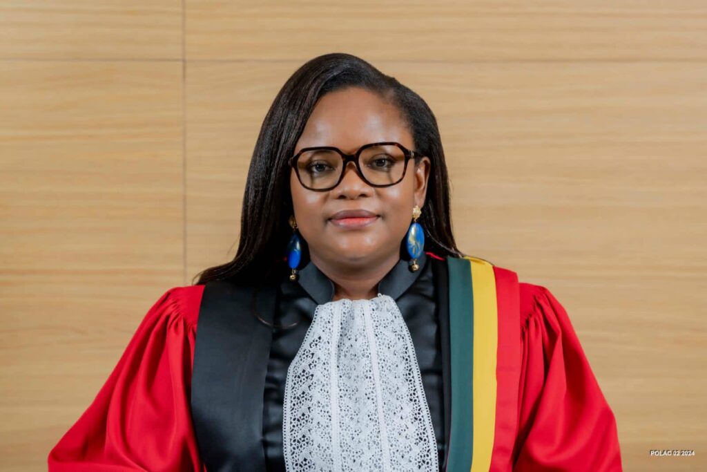 Haute Cour de justice : Dandi Gnamou remplace Marice-Cécile de Dravo