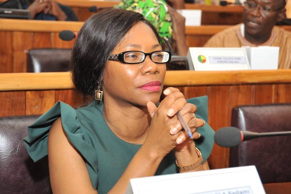 Bénin-Législatives de janvier 2023 : Sèdami Fagla admet un "échec" de l'UP le Renouveau sur un point