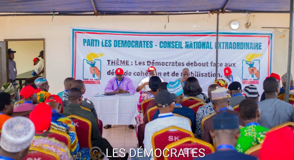 Conseil national extraordinaire du parti Les Démocrates : voici la déclaration finale