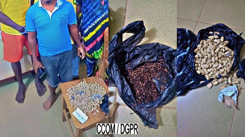 Abomey-Calavi : le commissariat de Ouèdo saisit 300 boulettes de verdure et interpelle quatre suspects.